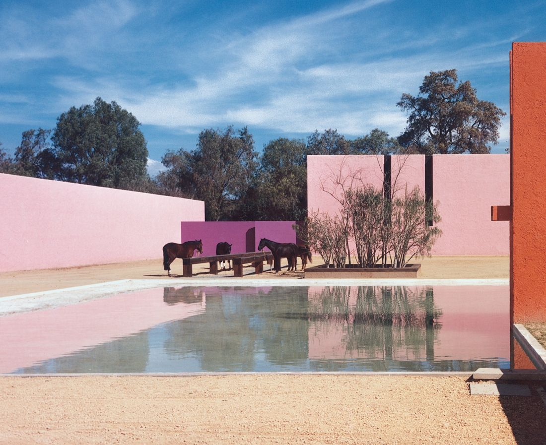 San Cristobal Stables Post Image 3